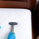 L'impact des punaises de lit sur la santé et le bien-être