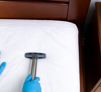 L'impact des punaises de lit sur la santé et le bien-être