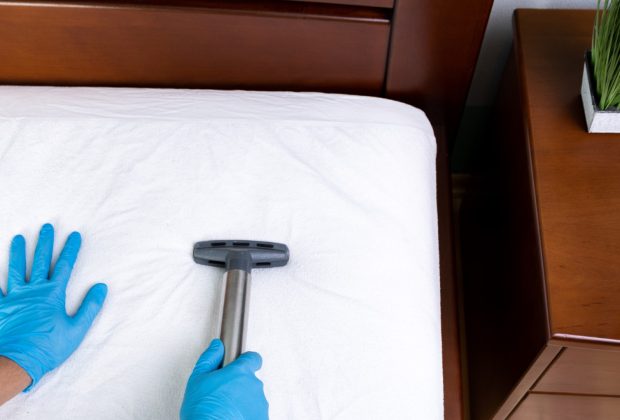 L'impact des punaises de lit sur la santé et le bien-être
